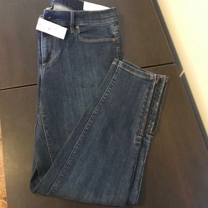 Ann Taylor Loft Modern Skinny Ankle